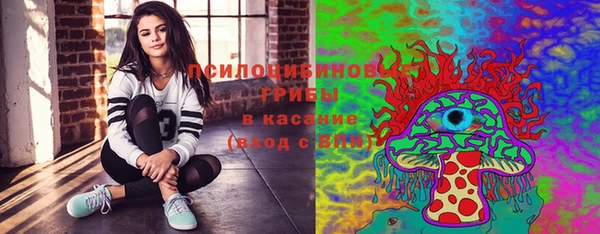 дживик Михайлов