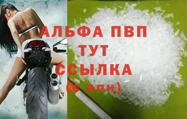 стаф Гусиноозёрск