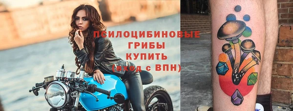 трава Михайловск