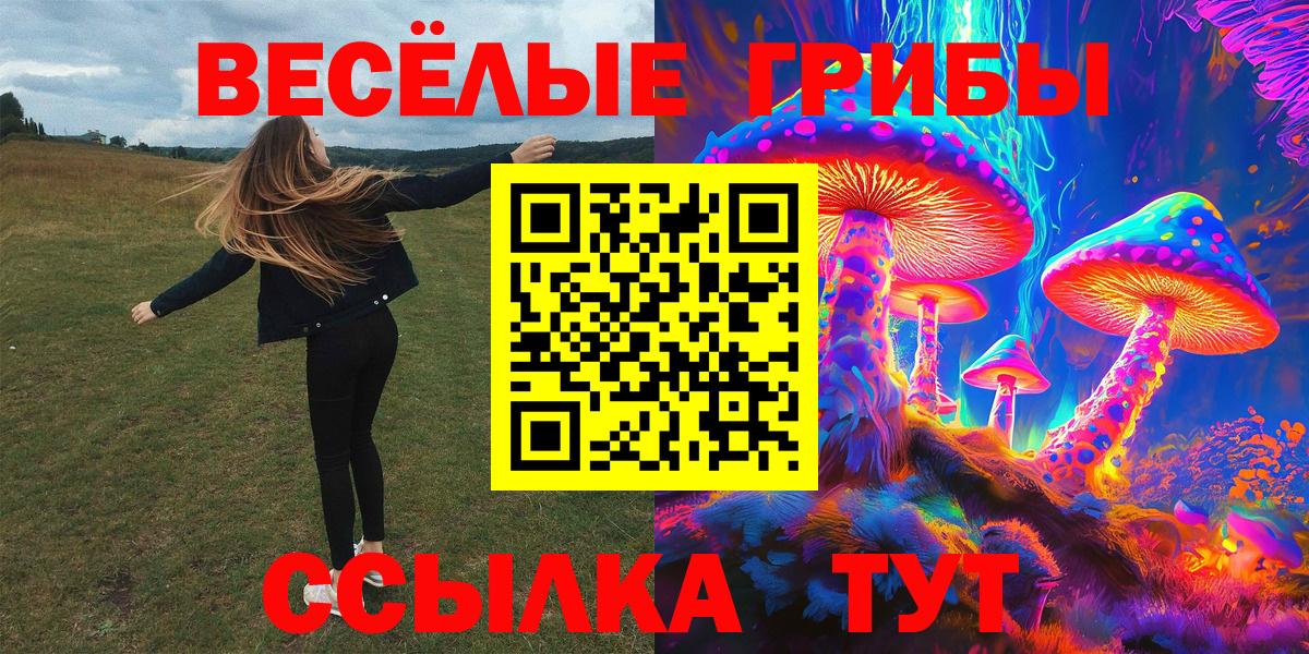 Дмитров  Псилоцибиновые грибы прущие грибы  Вход с VPN 