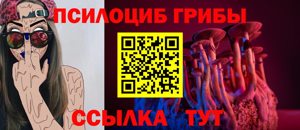 Галлюциногенные грибы Cubensis Дмитров