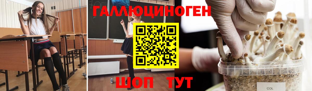 Псилоцибиновые грибы Magic Shrooms  Дмитров 