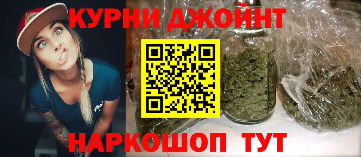 Конопля планчик  Дмитров  МАРИХУАНА Amnesia  Канабис сатива  Канабис конопля 